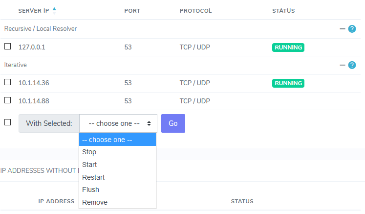 manage active dns form