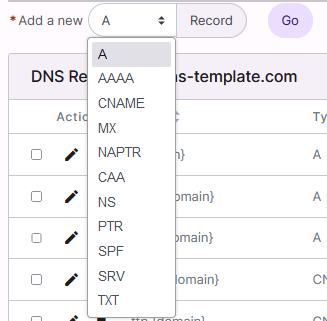 dns record type list