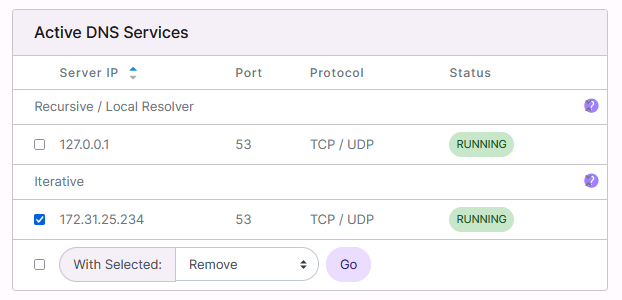 remove dns from an ip