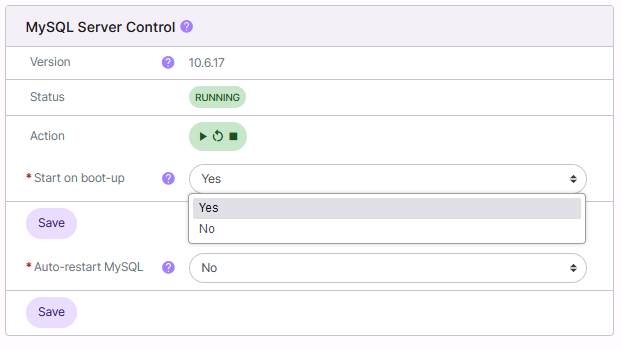 mysql onboot options