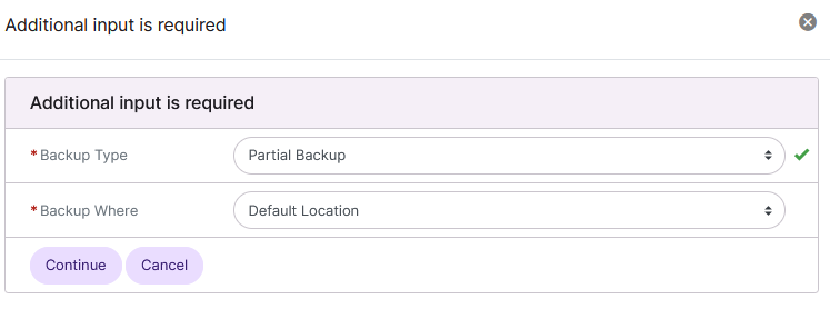 siteworx partial backup setup