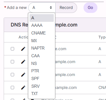 dns record type list