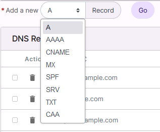 dns record type list