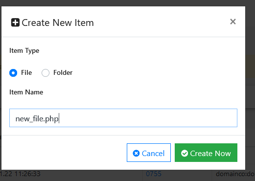 new item form filled out