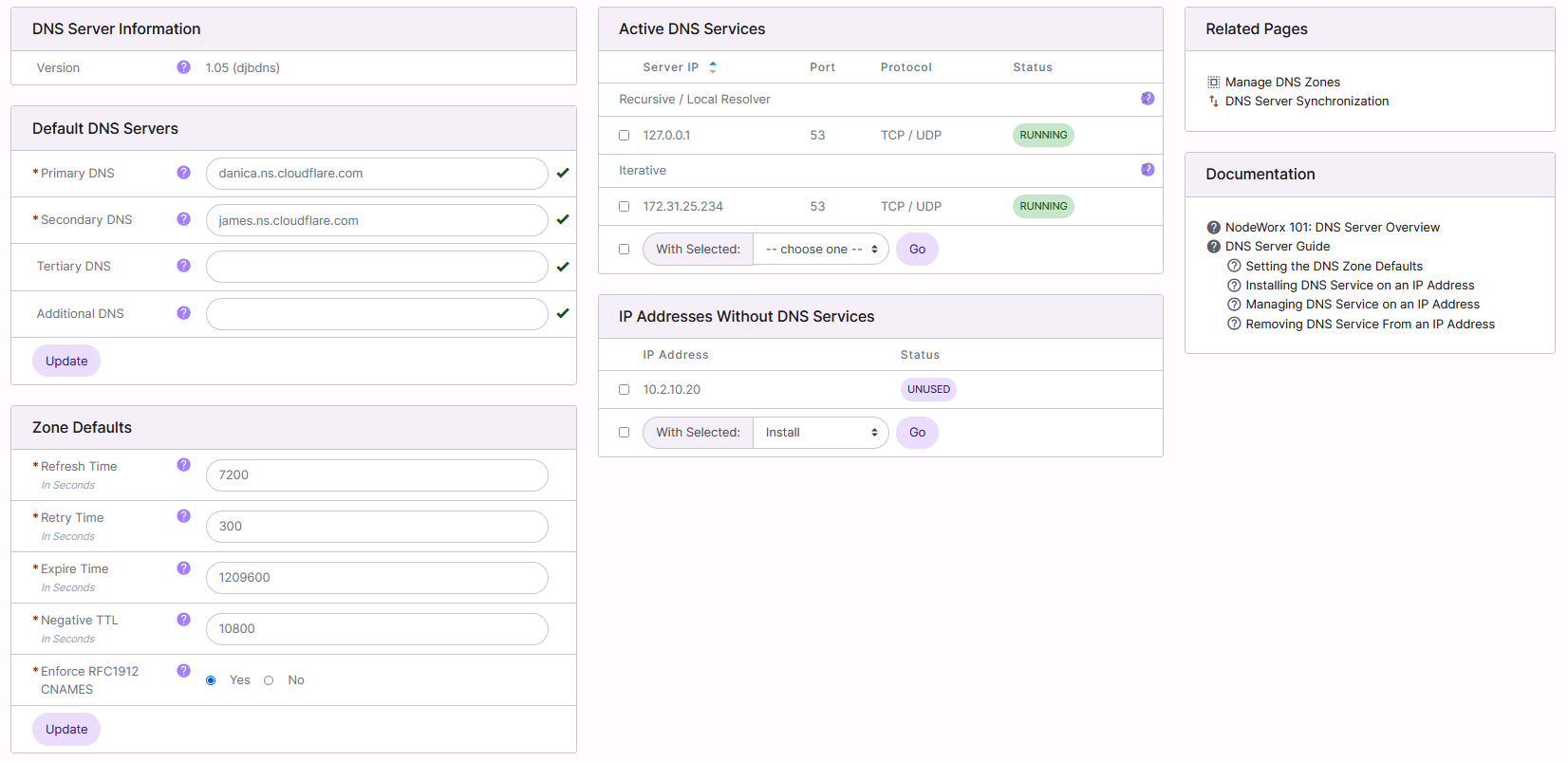 dns server page