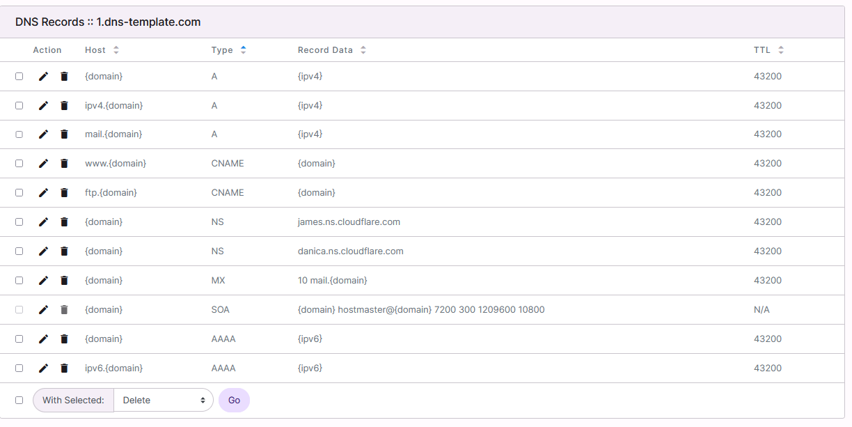 dns template