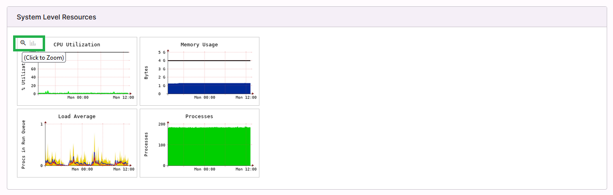 graphs zoom icon