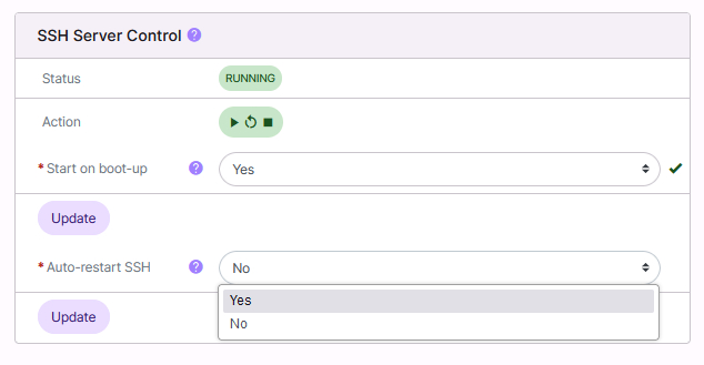 ssh autorestart options