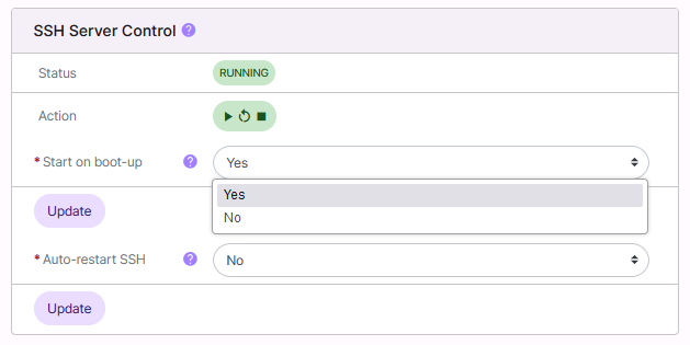 ssh on boot options