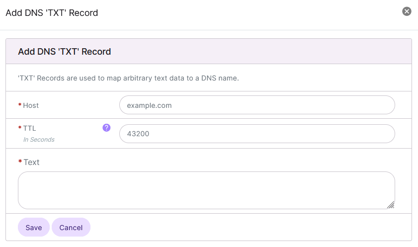 txt record add form
