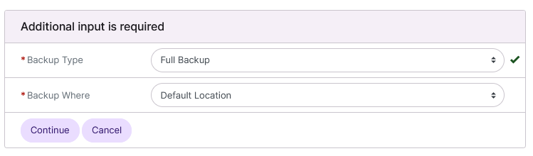 backup now page