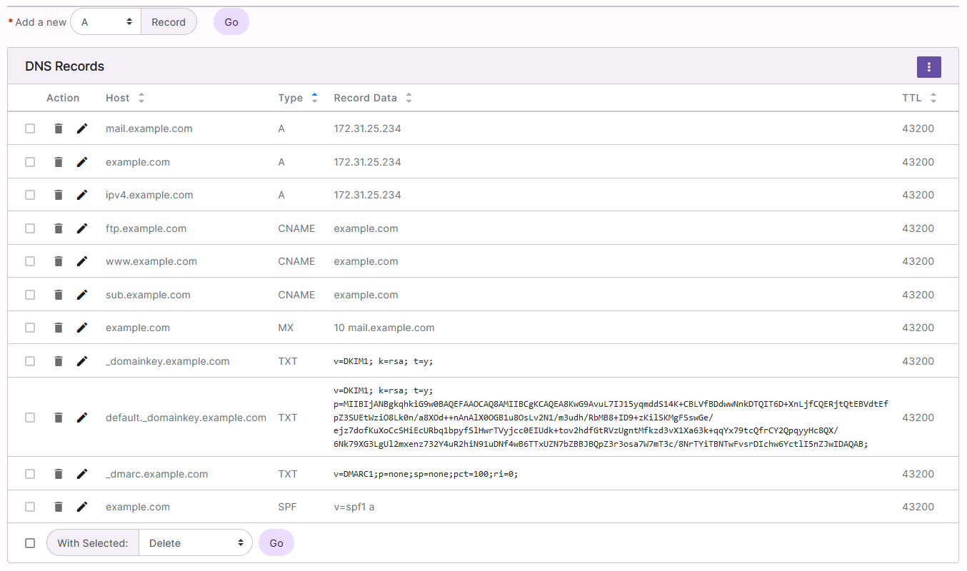 dns records