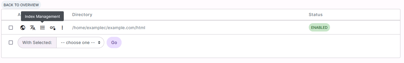 index options