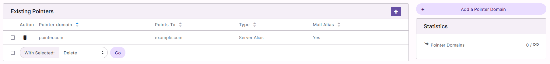pointer domain page