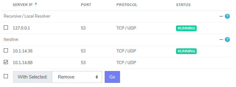 remove dns from an ip