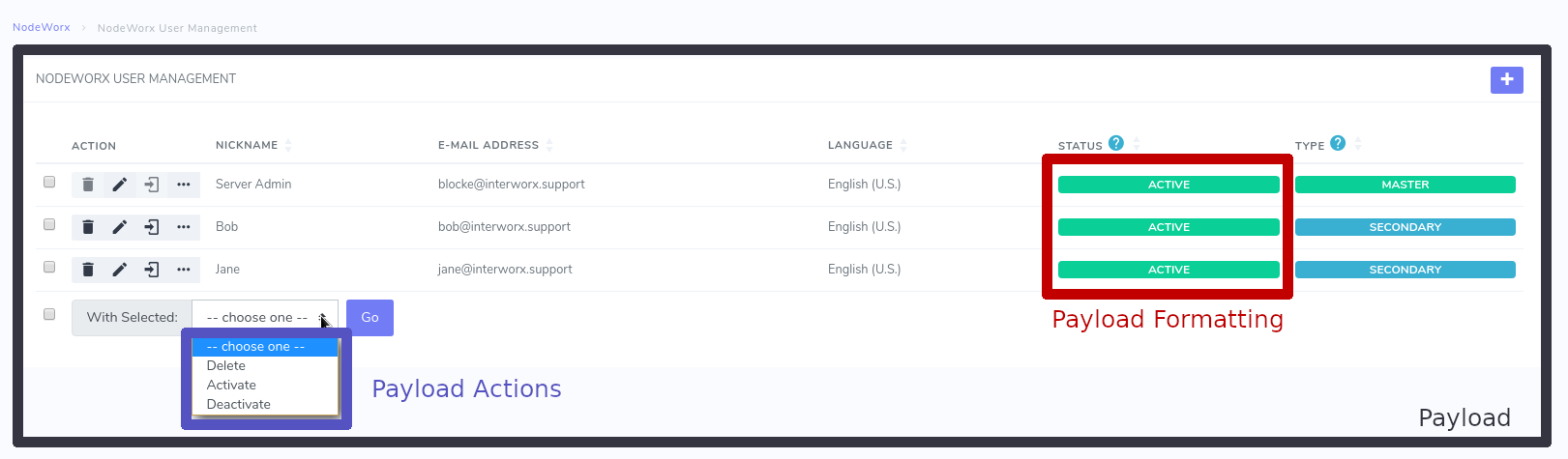 Payload System Interface Elements