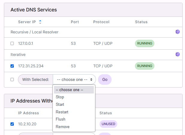 manage active dns form