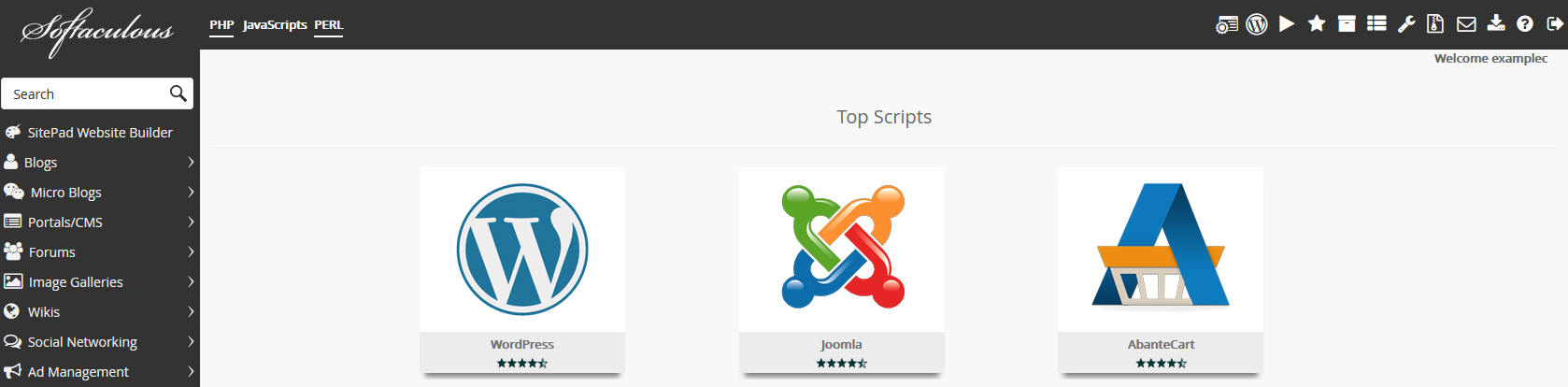 wordpress button